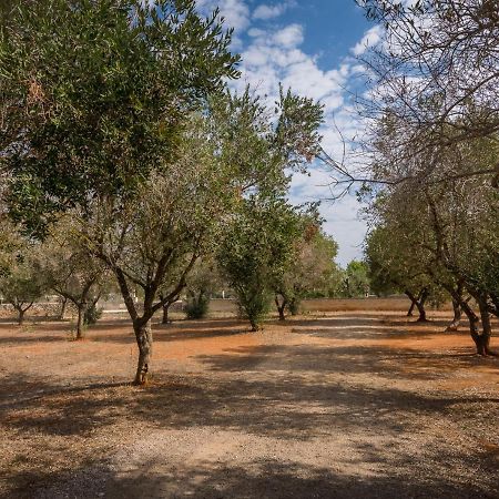 Cottage A 5 Minuti Dal Mare Nardò Dış mekan fotoğraf